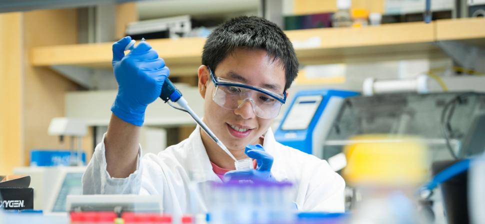 Diploma Program in Chemical Engineering (DE)